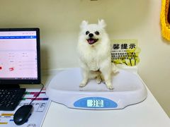 -全心全意连锁动物医院·特色中医诊疗(会城门分院)