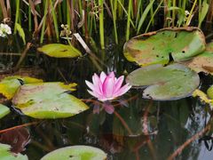 -昆山城市生态森林公园