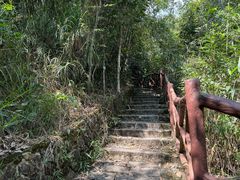 -海南热带雨林国家公园吊罗山景区