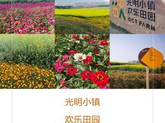 -光明小镇欢乐田园