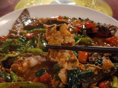 遇龙河剑骨鱼—阳朔特色啤酒鱼-生态苑农庄(十里画廊遇龙河店)