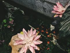 -丽池宫韩式汗蒸会馆(华灯坊店)