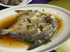 -吕四渔港码头海鲜餐厅
