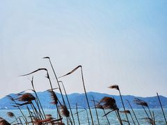 -东钱湖旅游度假区