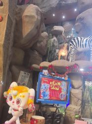 -卡通尼·Safari非洲探索乐园·生日会(金桥国际商业广场店)