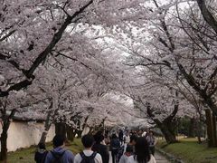 -醍醐寺
