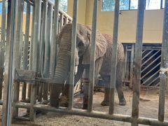 -石家庄市动物园