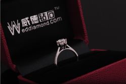 201310151-威德钻石-克拉钻大本营(南京东路店)