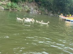 -千岛湖王子谷漂流