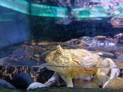 -海南热带野生动植物园