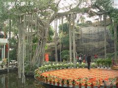 正厅环境很好-绿色时代大酒店