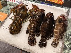 -南海渔村(珠江新城店)