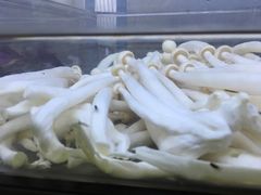 -杨国福麻辣烫(拱墅万达广场店)