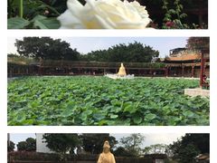 景点-宝墨园景区