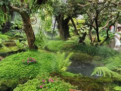 -Chom Cafe and Restaurant