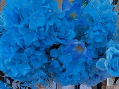 -双湖宴·湖北菜(文化路店)