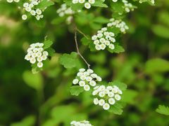 -周口店坡峰岭风景区