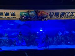 -成都浩海立方海洋公园
