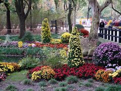 -上海共青森林公园