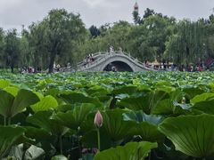 -长春市南湖公园