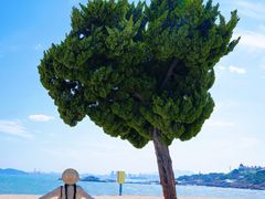 -青岛第二海水浴场