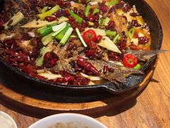 -老板恋上鱼(恒隆广场店)