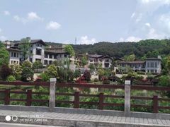 -铁山坪森林公园