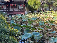 -上海醉白池公园
