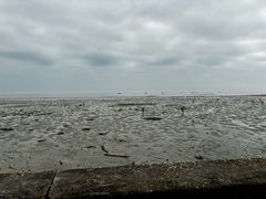 -北海金海湾红树林生态旅游区