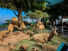 -国家自然博物馆