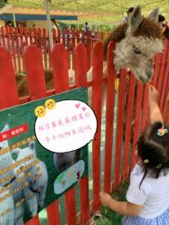 -萌宠亲子动物乐园(槐房万达店)