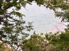 -燕儿岛山公园