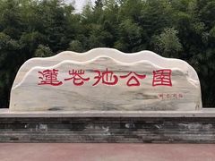 -莲花池公园