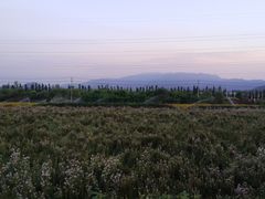 -君乐宝优致牧场