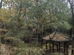 -虞山风景区
