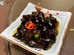 凉拌木耳-宁海食府(北岸琴森店)