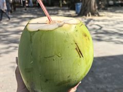 -西双版纳傣族园