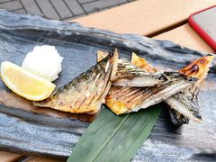 盐烤青花鱼-Hatsune隐泉日式料理(三里屯太古里店)