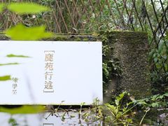 -鹿野苑石刻艺术博物馆