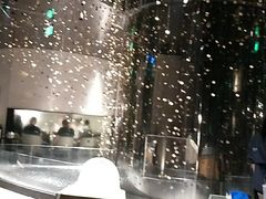 -凤园椰珍·臻品椰子鸡(保利时光里店)