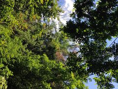 -洛阳白云山景区