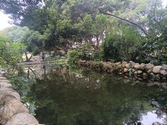 -成都市活水公园