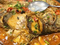 -洞庭家宴·头牌甲鱼(广渠门店)