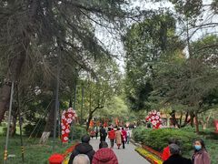 -房湖公园