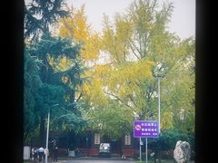 -四川大学(望江校区)