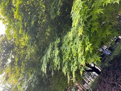 -龙头寺公园