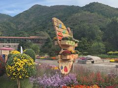 -北京十三陵国家森林公园蟒山景区