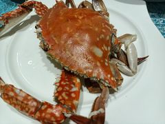-北塘海鲜·天津菜(大光明桥旗舰店)