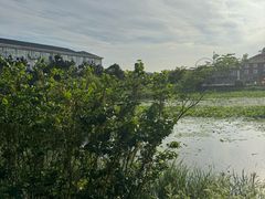 -日照海滨国家森林公园