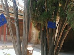 -鲁土司衙门旧址